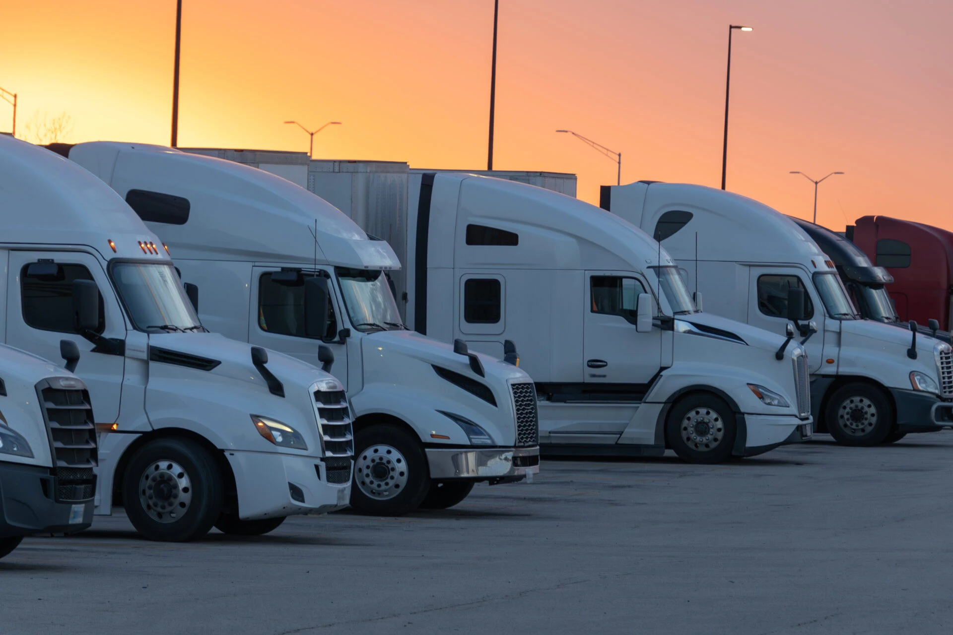 A row of white semi-trucks parked side by side in a lot during sunset.