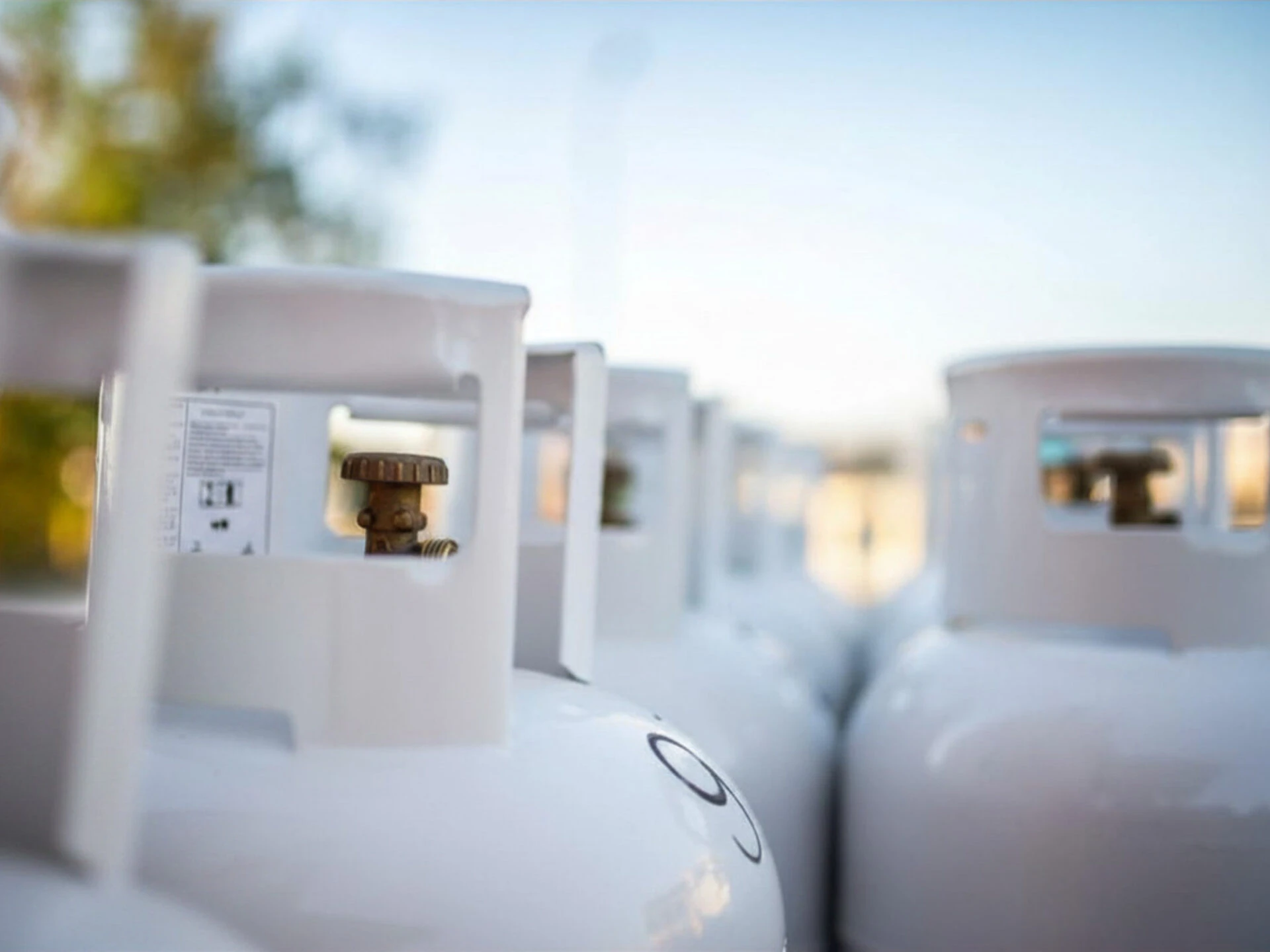 Row of white propane gas cylinders lined up outdoors with clear sky in the background.